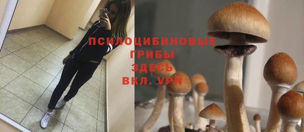 MESCALINE Верея